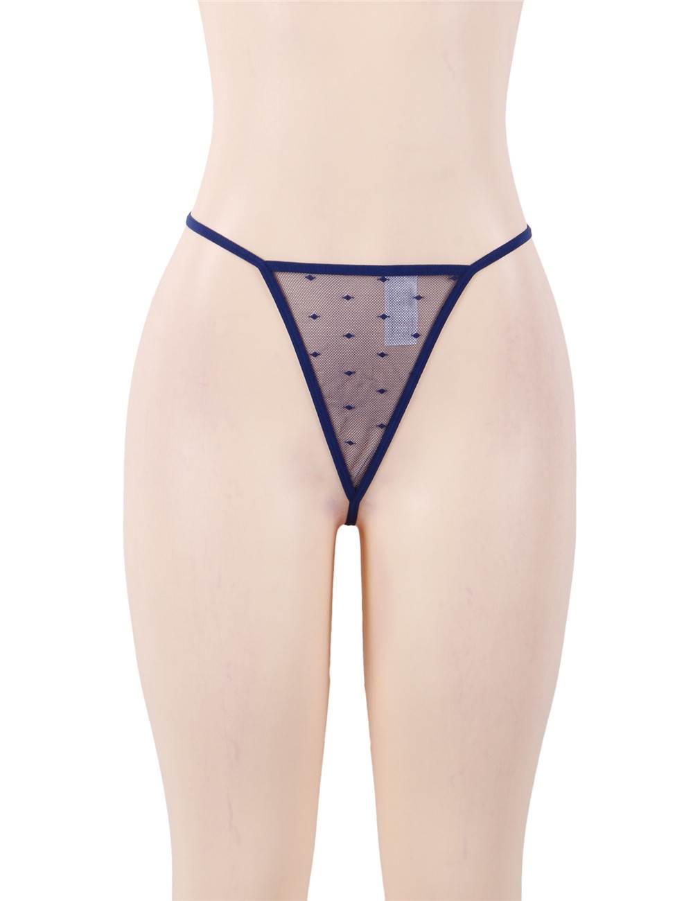 See-through Mesh Garter Lingerie with G String - Plus Size Blue